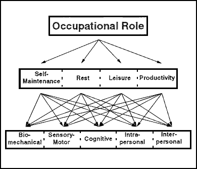 occupational therapy performance areas